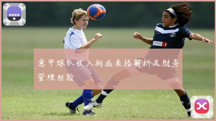 意甲球队收入构成表格解析及财务管理经验